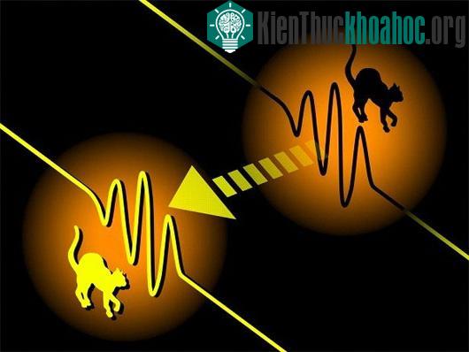 Bí ẩn người đàn ông di chuyển 17 nghìn km chỉ sau một giấc ngủ