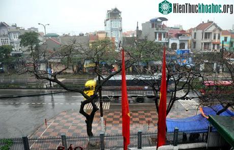 Sau 10 phút, thành phố Hạ Long bừng sáng trở lại