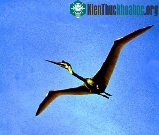 Tam giác quỷ trên cạn: Vùng đất Bridgewater bí ẩn