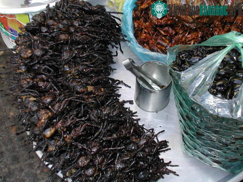Nhện đen chiên giòn được bày bán ở chợ