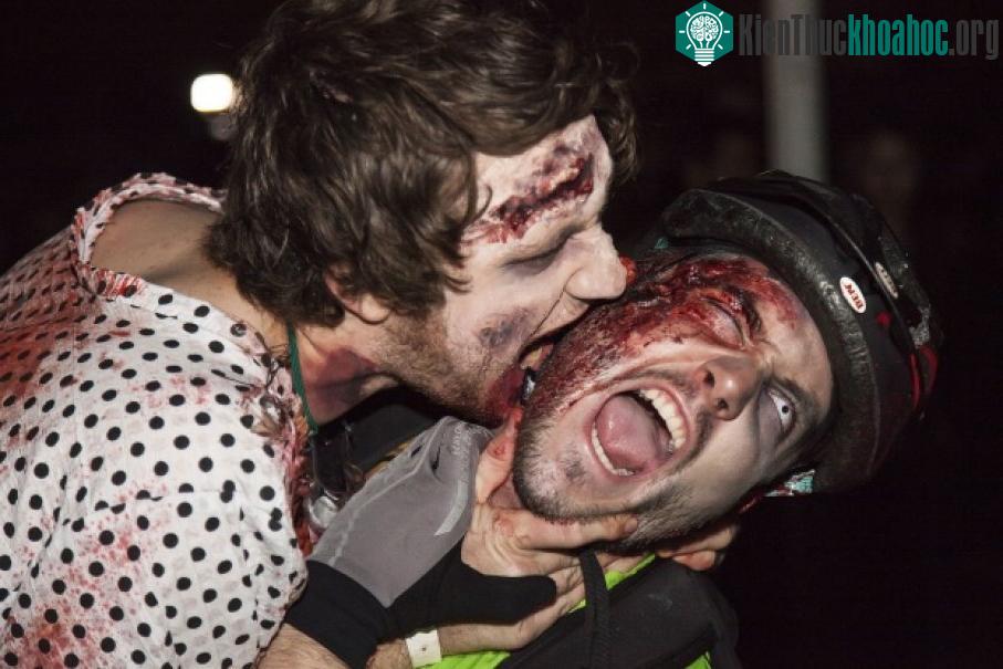 Zombie không đủ thời gian và năng lượng để tạo ra các vết cắn