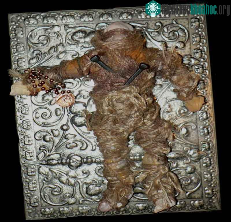 Búp bê Voodoo Zombie