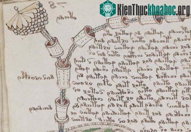 12 bí ẩn mà khoa học chưa thể tìm ra lời giải thích- ảnh 9