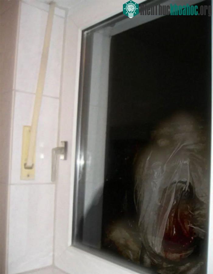 Cho dù có thể là một trò đùa quá trớn, bất cứ ai gặp phải cảnh tượng này đều là người bất hạnh.
