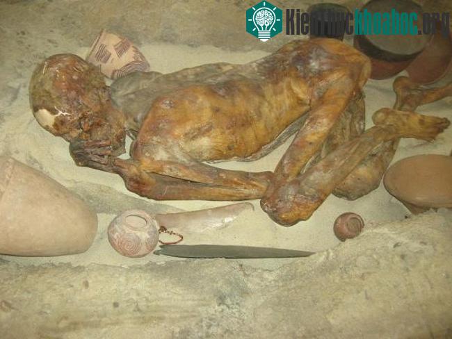 Xác ướp Ginger, Ai Cập
