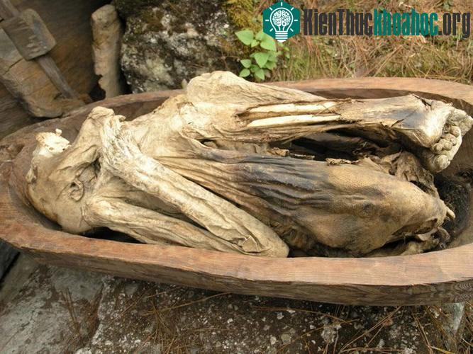 Hiện tại, các hang xác ướp Kabayan đã được chính phủ Philippines nhìn nhận như di sản quốc gia, biểu tượng cho nền văn hóa - tín ngưỡng độc đáo của bộ tộc Ibaloi, cần được bảo tồn đặc biệt.