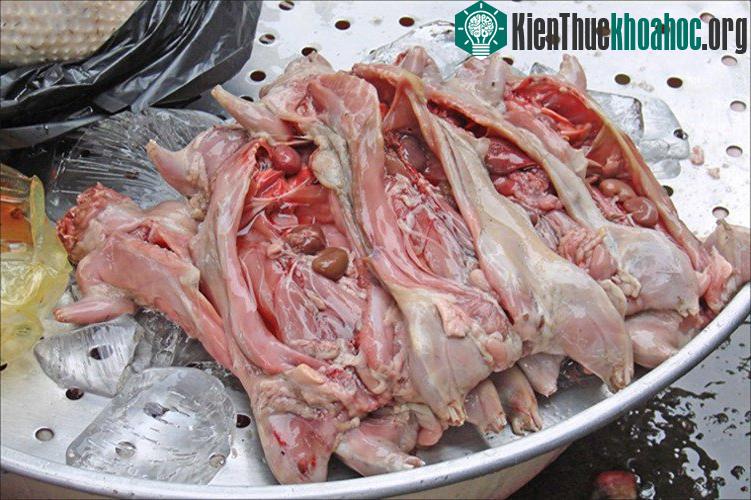 Những con chuột bao tử chuẩn bị được chế biến