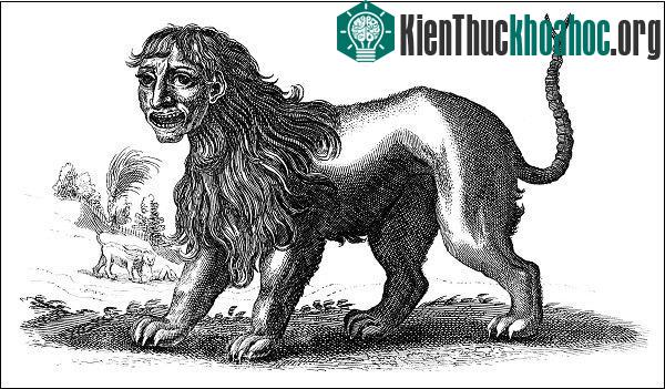 Manticore