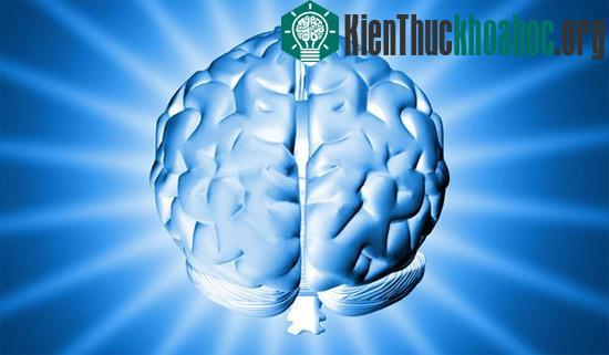 10 điều lạ lùng không thể giải thích bằng khoa học