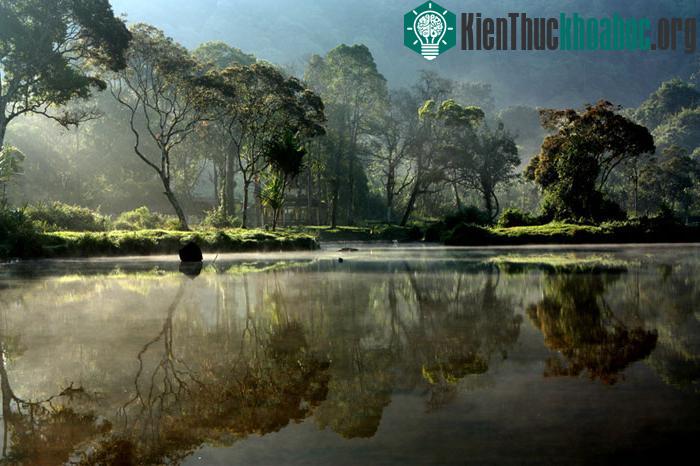 Vườn quốc gia Gunung Mulu nằm ở bang Sarawak, giáp với biên giới Brunes.
