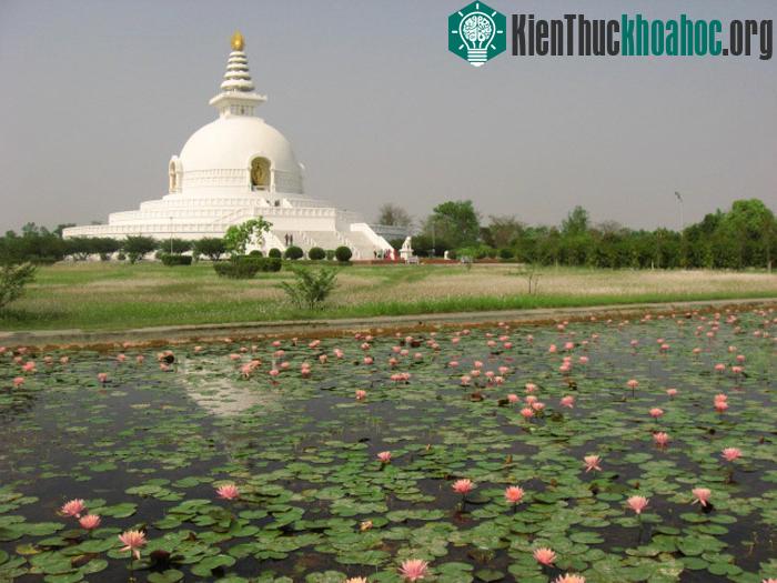 Lumbini là vùng đất nổi tiếng, là một trong những nơi hành hương linh thiêng của đạo Phật.