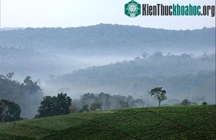 Vườn quốc gia cấm Bwindi nằm dọc theo biên giới với Cộng hòa Dân chủ Congo, giáp với vườn quốc gia Virunga.