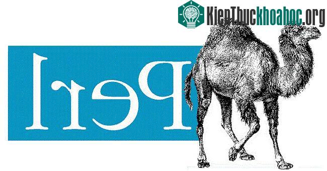 Perl là ngôn ngữ thông dụng trong lĩnh vực quản trị hệ thống và xử lí các trang Web