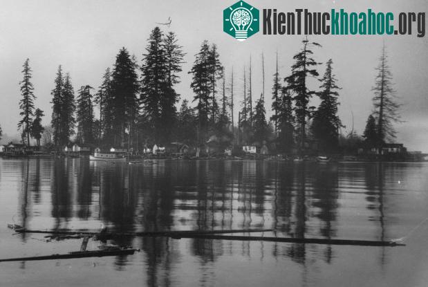 Đảo người chết vào những năm 1990. (Ảnh: Mysterious Unniverse).