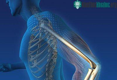 Nhờ đâu ta biết tay mình?