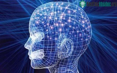 Các nhà khoa học chưa thể giải mã hết bộ não của con người