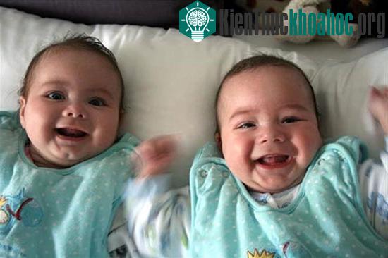 Cặp song sinh một trai một gái ở Ba Lan cùng mẹ nhưng lại khác cha