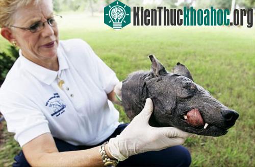 Những bí ẩn 'chôn vùi' theo thời gian ảnh 0