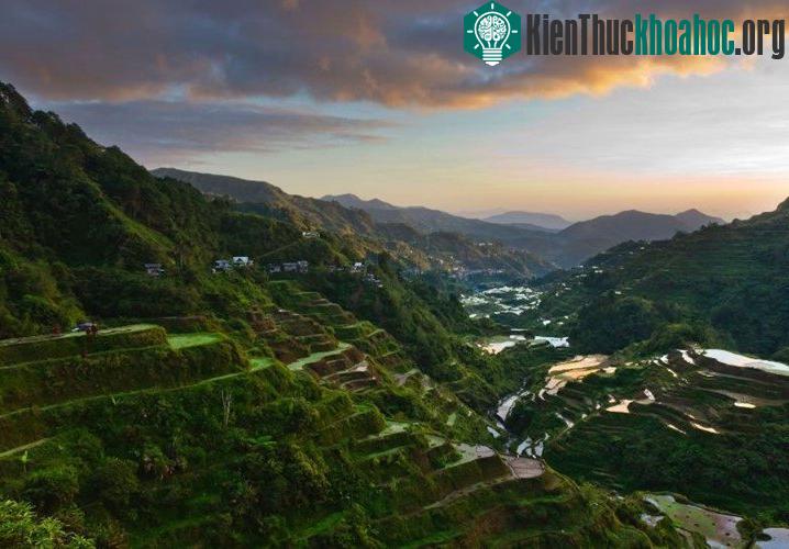 Các ruộng bậc thang Philippines