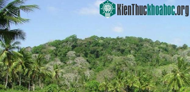 Các khu rừng Kaya của người Mijikenda tại Kenya