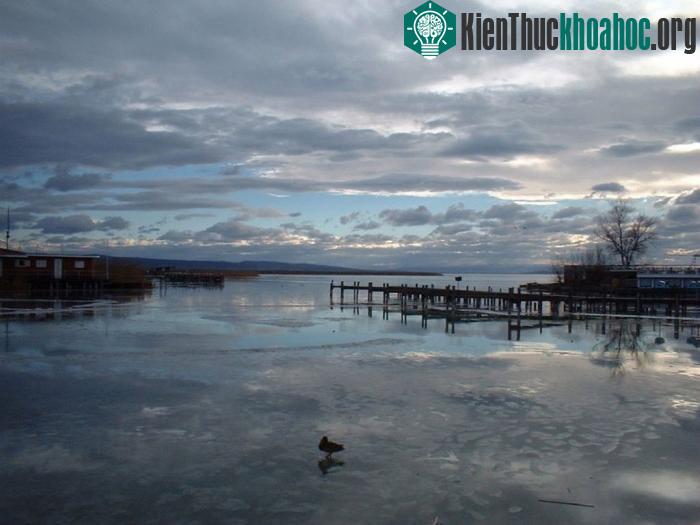 Vùng hồ nước mặn lớn đã tạo ra một rừng ngập mặn với hệ sinh thái đa dạng cho toàn bộ khu vực