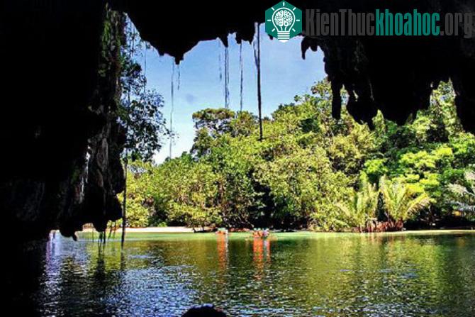 Puerto Princesa - là nơi bảo tồn đa dạng sinh học hệ sinh vật núi - biển quan trọng nhất của Philippines.