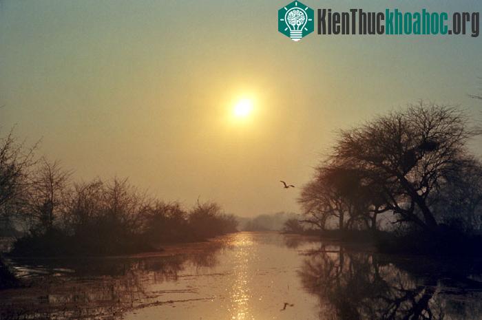 Diện tích toàn bộ vườn Keoladeo là 2.873 ha. Nơi đây là nơi cư trú của 375 loài chim.