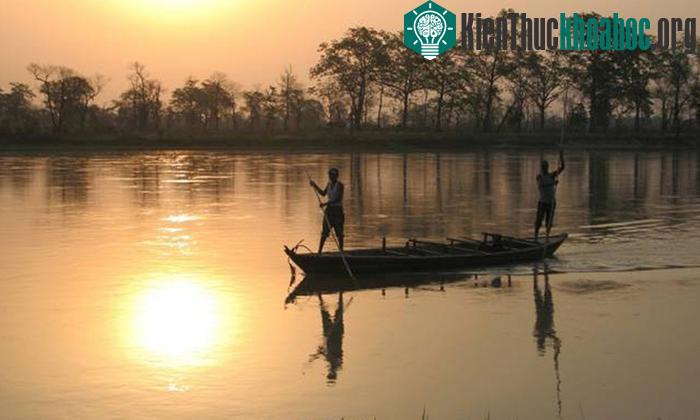 Hệ thống rừng và rừng ngập mặn của Công viên quốc gia Chitwan.