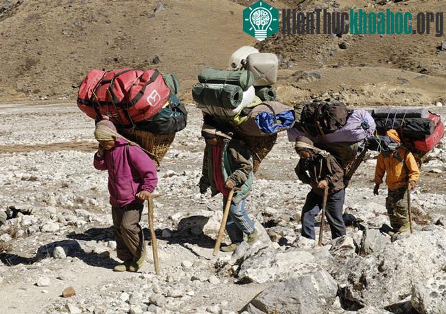 Công viên quốc gia Sagarmatha - Nepal- ảnh 2