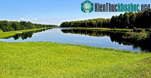 Vườn quốc gia Belovezhskaya Pushcha - Belarus