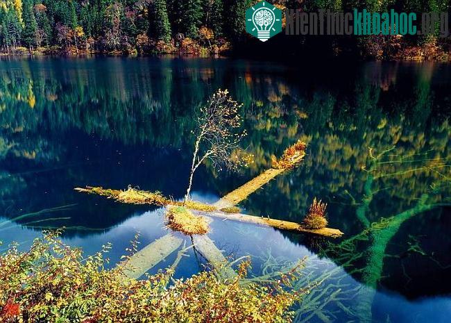 Khu bảo tồn thiên nhiên Cửu Trại Câu - Di sản thiên nhiên của Trung Quốc