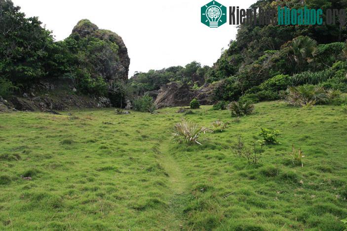 Công viên quốc gia Ujung Kulun - Indonesia