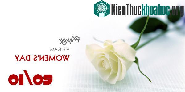 Ngày 20/10 được xem là ngày kỷ niệm và tôn vinh phụ nữ Việt Nam