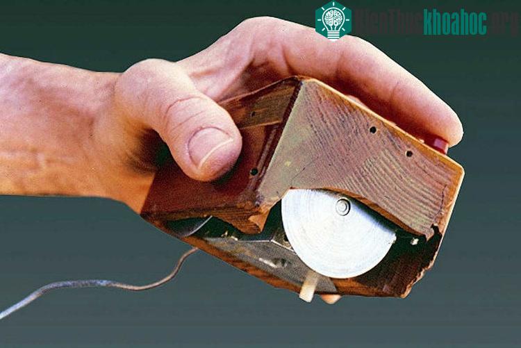 Con chuột ban đầu đặt trong một hộp gỗ cao cấp, to gấp đôi những con chuột ngày nay.