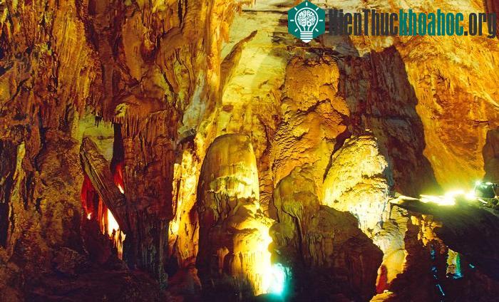 Vườn quốc gia Phong Nha - Kẻ Bàng: Kỳ quan đệ nhất động