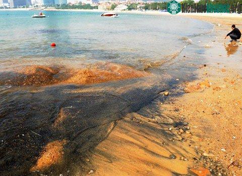 Các nhà khoa học cho rằng, màu đen của cát do hiện tượng tro biển vùi lập trong nhiều năm qua. (Ảnh: Xinhua)