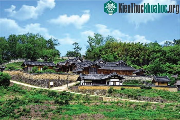 Làng Hahoe có hình dáng như một bông hoa sen.