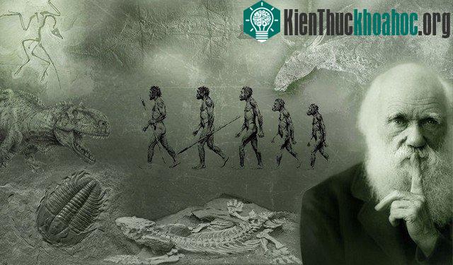 24/11/1859 - Charles Darwin xuất bản cuốn sách "Nguồn gốc của muôn loài"