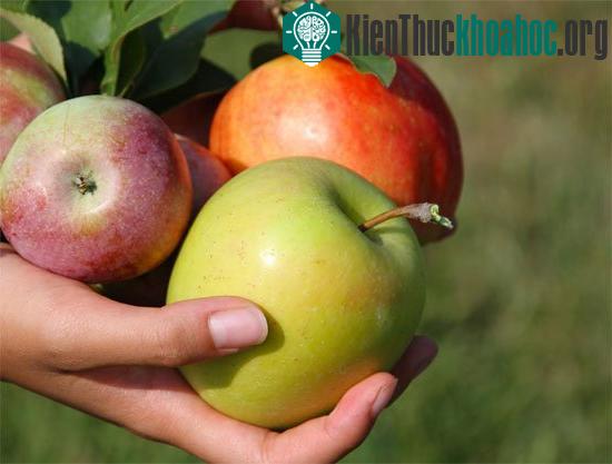 Rửa hoa quả bằng nước muối pha loãng