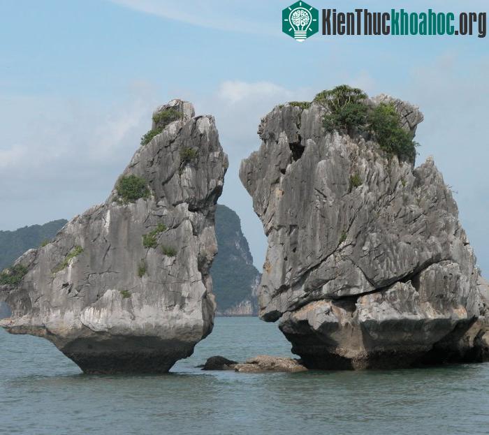 Vịnh Hạ Long - Kỳ quan đất dựng giữa trời cao ảnh 11