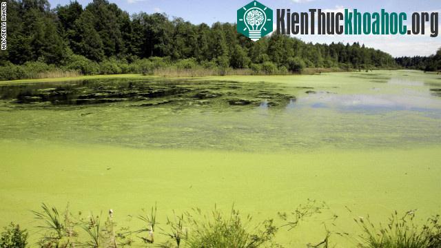 Mùa đông và mùa xuân tại vườn quốc gia Belovezhskay Pushcha
