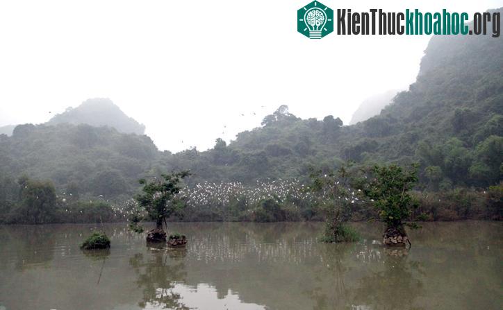 Quần thể danh thắng Tràng An - Di sản thế giới tại Việt Nam- ảnh 12