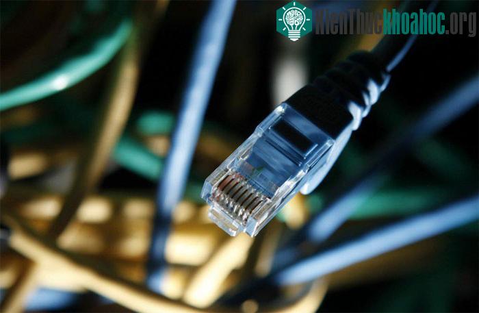 Nhân loại bước vào một kỷ nguyên chưa từng có trong lịch sử phát triển khi World Wide Web (mạng lưới toàn cầu) ra đời vào cuối những năm 1960.
