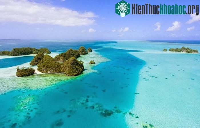 Quần đảo Rock - Palau- ảnh 13