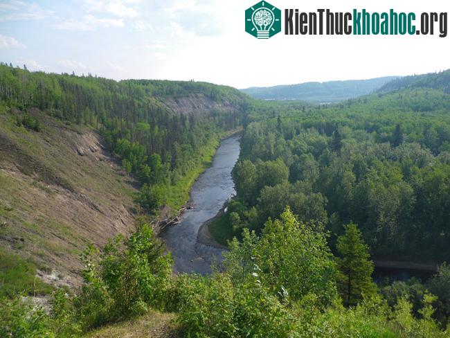 Vườn quốc gia Wood Buffalo - Canada