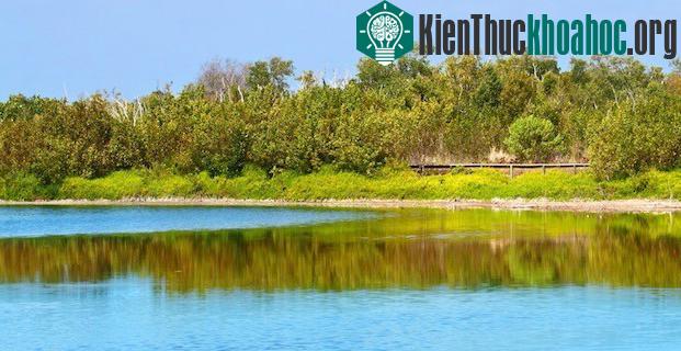 Vườn quốc gia Everglades - Hợp chủng quốc Hoa Kỳ