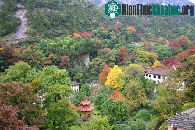 Núi Hoàng Sơn - Trung Quốc- ảnh 14