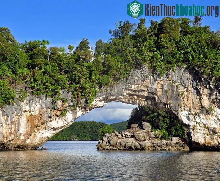 Quần đảo Rock - Palau- ảnh 14