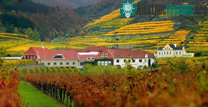 Unesco đã công nhận Cảnh quan văn hóa Wachau của nước Áo là Di sản văn hóa thế giới năm 2000.