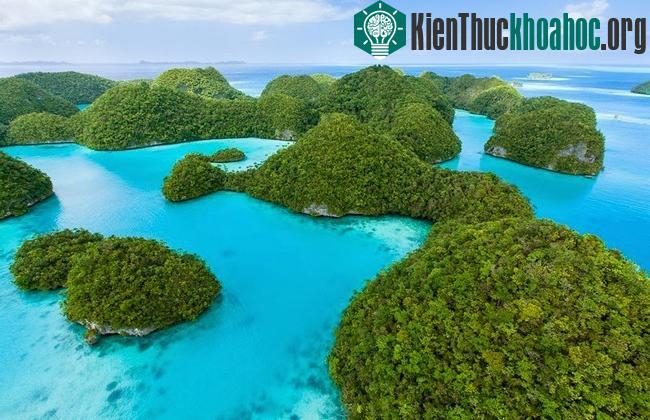 Quần đảo Rock - Palau- ảnh 15